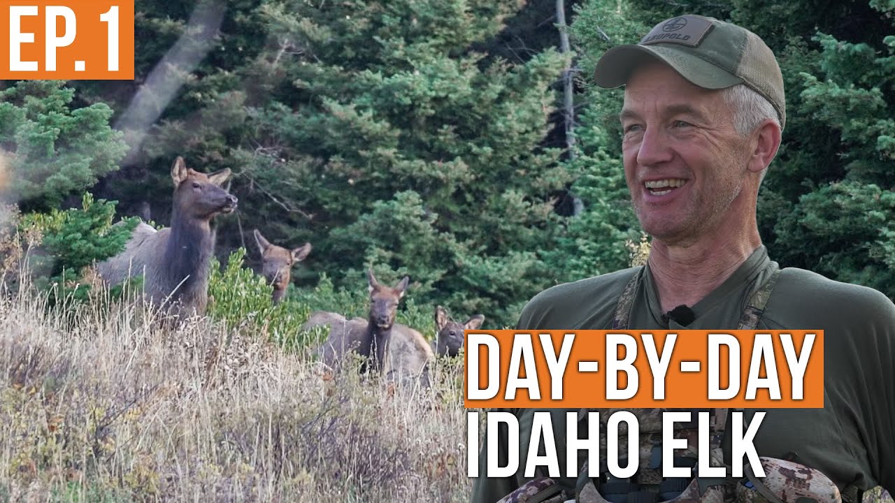 Epic Idaho Backcountry Elk Hunt! 🦌 Winner's First Experience in the Wilderness