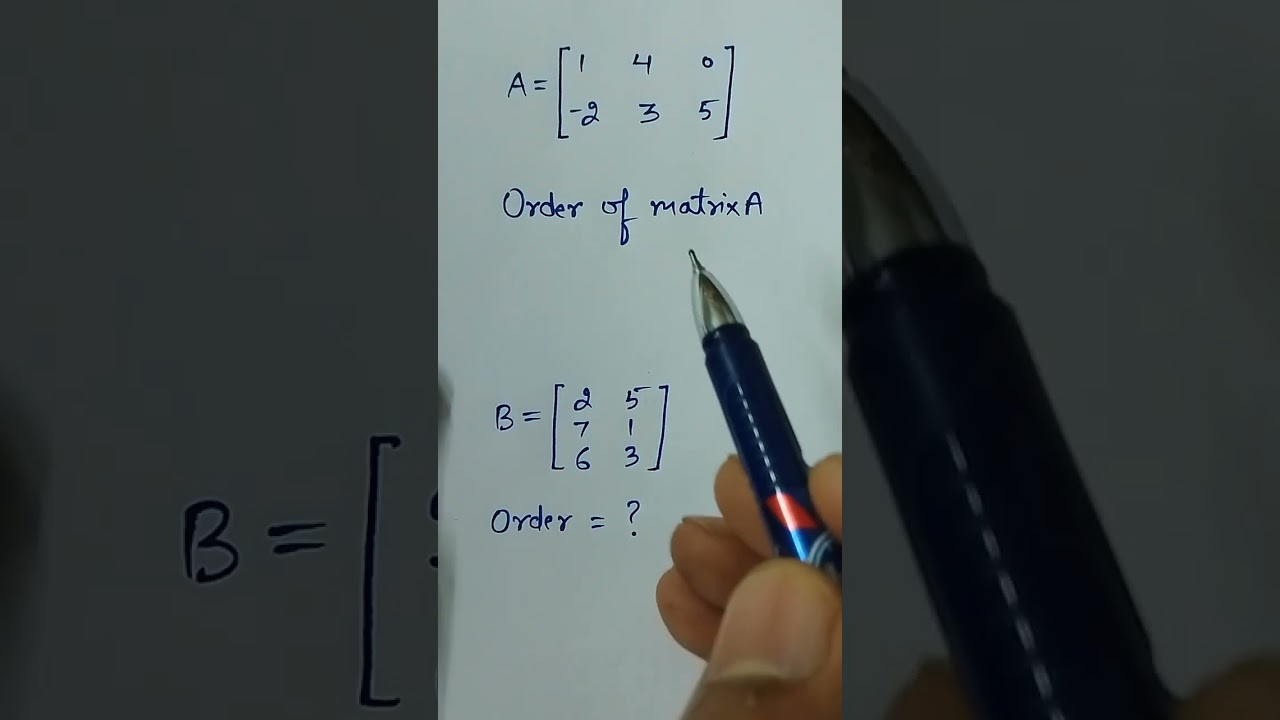 Matrix Order Explained 📊