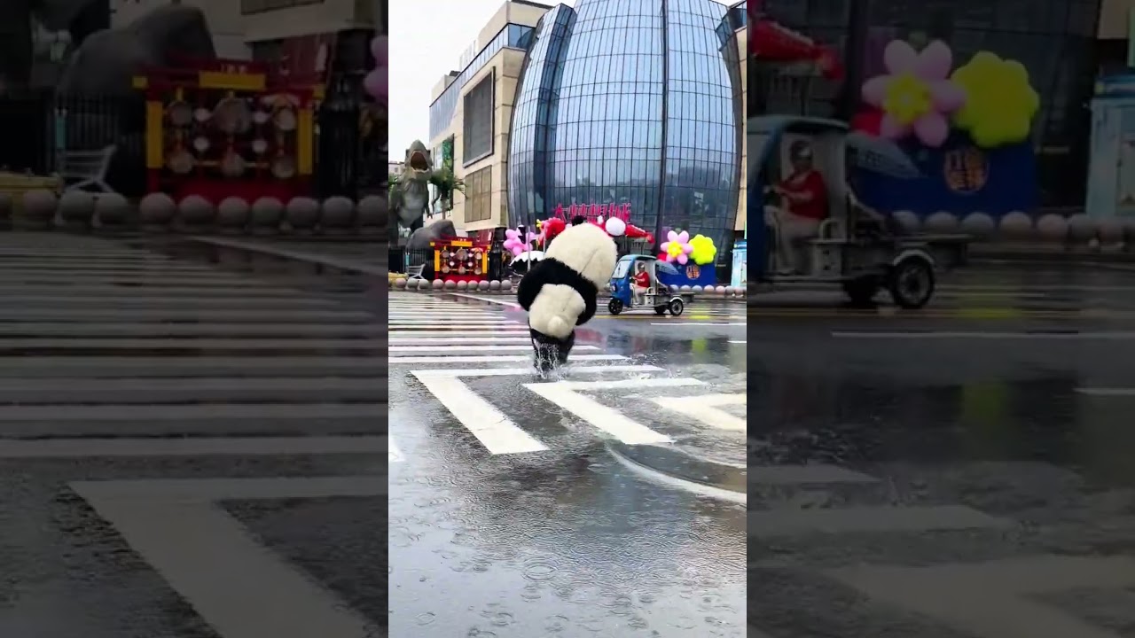 Watch the Cute Panda Dash Across the Street in Seconds! 🐼