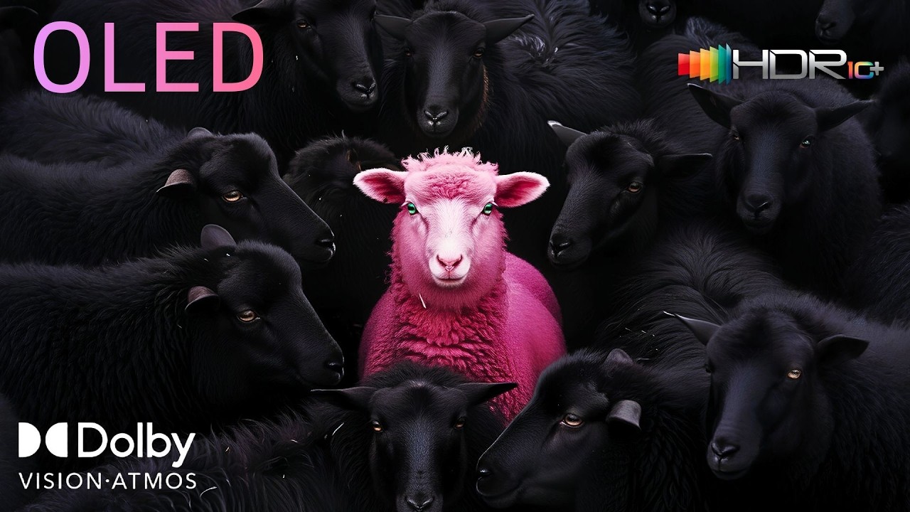 Stunning Dolby Vision 4K HDR OLED Demo 2025