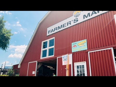 MSCS Farmer’s Market Field Trip 🌽