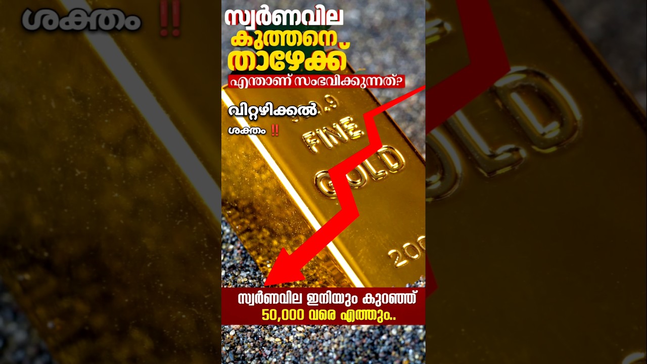സ്വർണ വിലയിൽ വലിയ മാറ്റം: കേരളത്തിൽ വ്യത്യസ്ത പ്രവചനങ്ങൾ 🔔