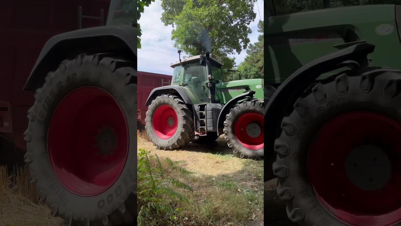Fendt 920 TMS Hauling Wheat 🌾