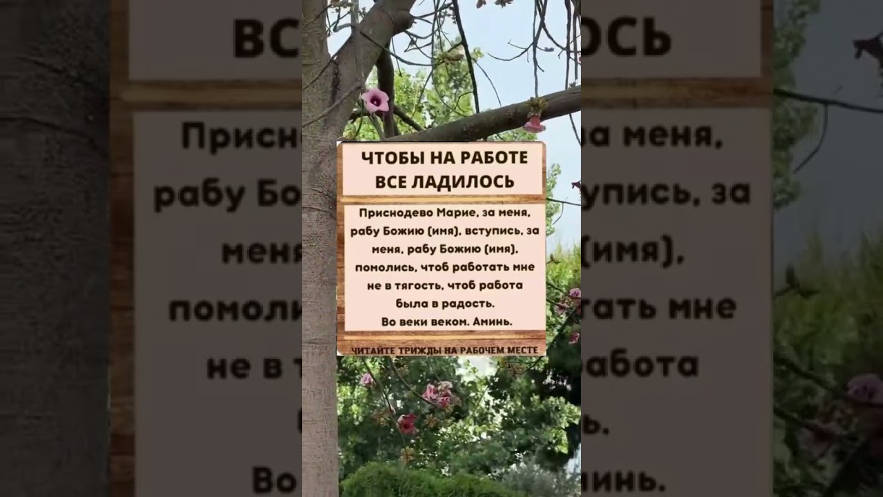 Заговор для гармонии на работе 🌿