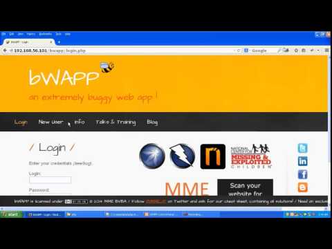 Cross Site Scripting XSS HTTP Flag