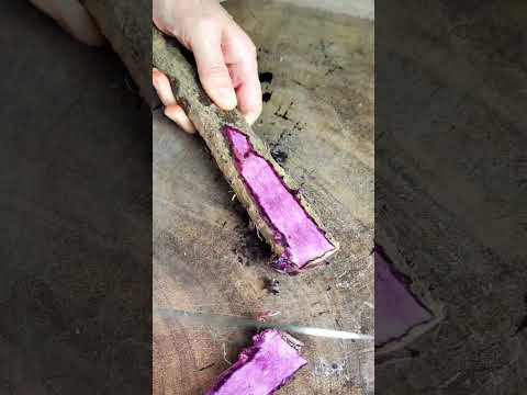 st  2094  mini rotary tillage and ridging all-in one tree 🌲 short view #travel #beach #flowers