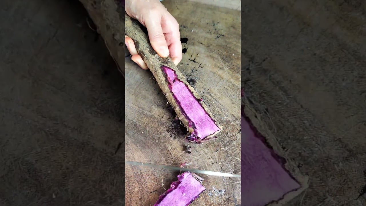 ST 2094 Mini Rotary Tillage & Ridging Machine 🌱 | Compact All-in-One for Tree Planting