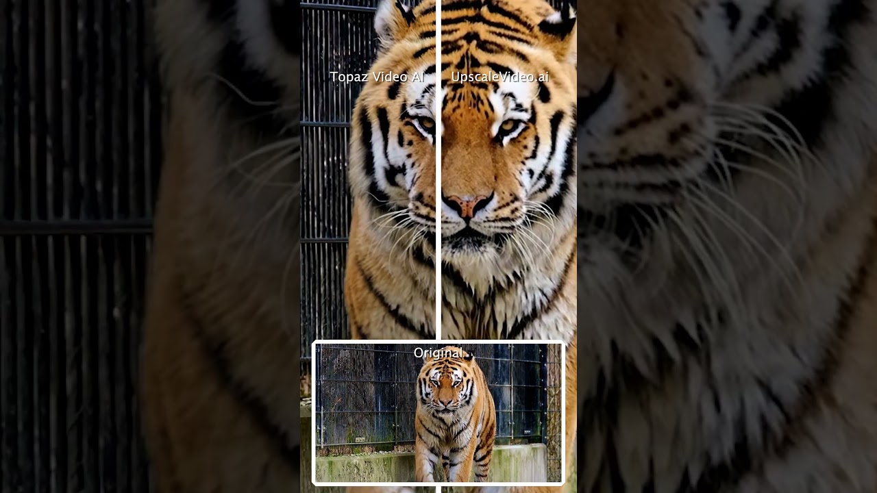 Topaz Video AI 6.0.3 vs UpscaleVideo.ai 1.11 - 2x super resolution, de-noise, sharpen #vfx