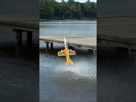 Freewing Ares Watery High Alpha #aviation #rc #rcplane
