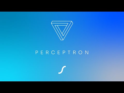Comprendre l'intelligence artificielle : Le Perceptron 2/2