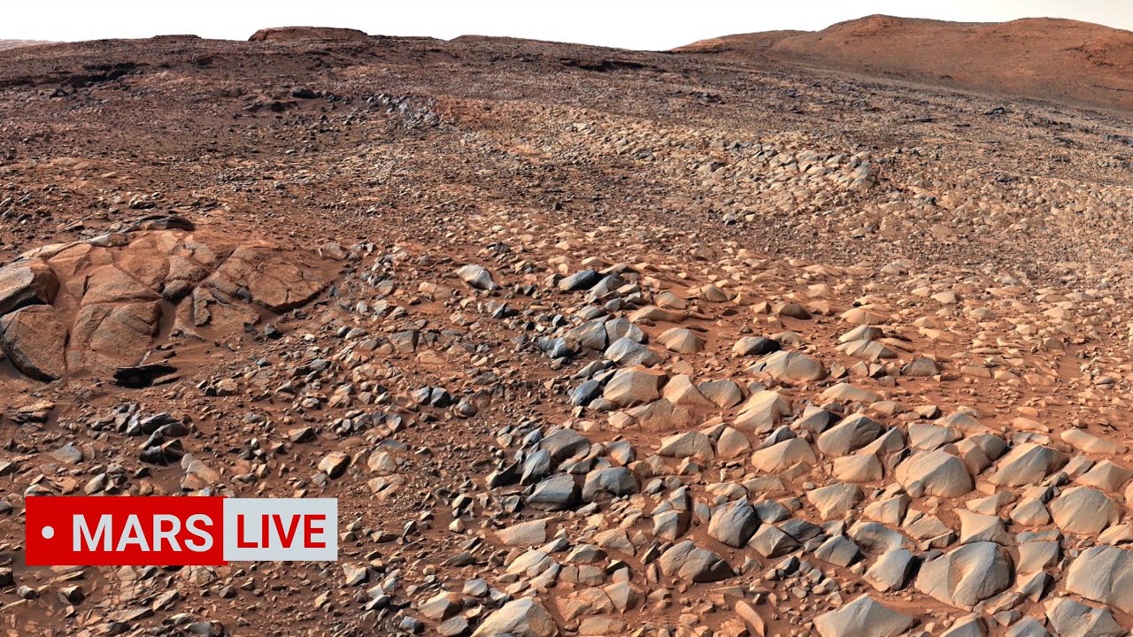 NASA Mars Rover Sent Most Incredible Footage of Mars' Geology! Perseverance and Curiosity Mars In 4K