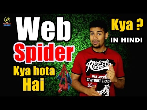 Web Spiders Kya Hote Hai ? / What is Web Crawler Explained In Hindi