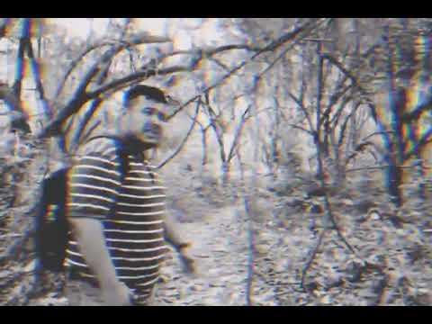 El Bosque Siniestro (Tráiler Oficial) || DANIELAZO TV