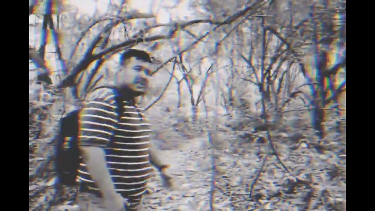 El Bosque Siniestro (Tráiler Oficial) || DANIELAZO TV