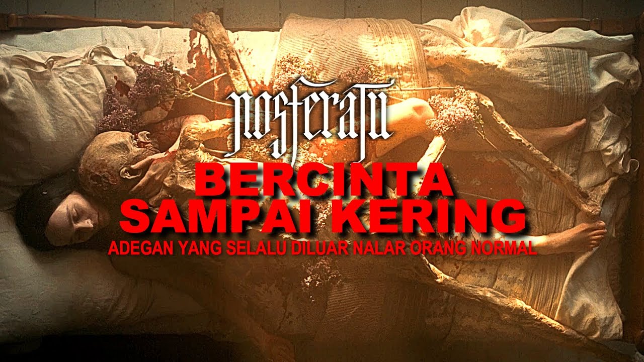 Film Horor Terbaru 2024 yang Sangat Mengerikan π±