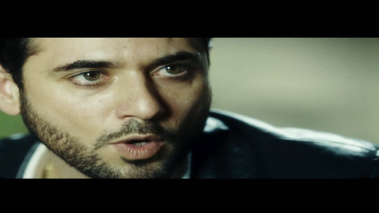 Masgoon Transit Trailer Service π