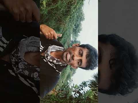 నిన్న రాత్రి నాకు ఎర్ర ఇసుక బోవా అనే పాము కనిపించింది భాగం 4