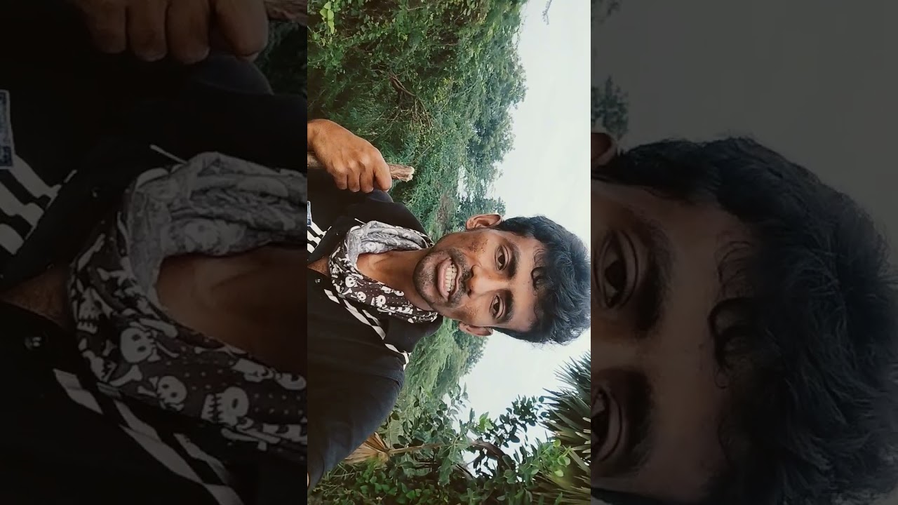 నిన్న రాత్రి కనిపించిన ఎర్ర ఇసుక బోవా పాము గురించి తెలుసుకోండి 🐍