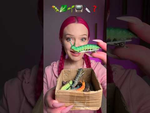 the WEIRDEST HAIR CLIPS in the world😱 subscribe for next part:)