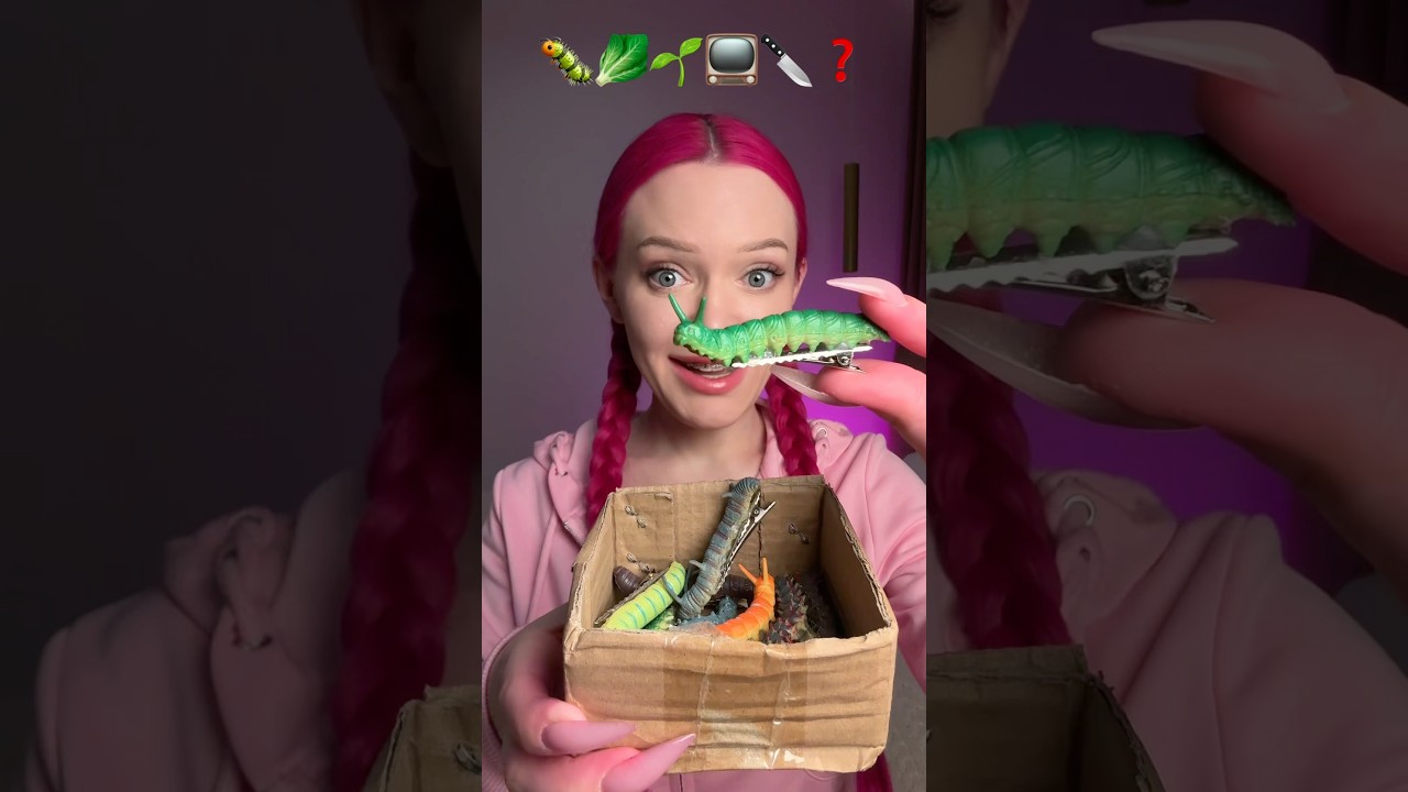 The Most Bizarre Hair Clips You'll Ever See! 😱