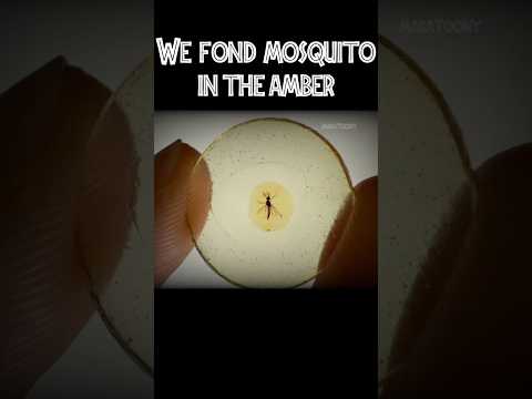 Those who know 💀 #shorts #dinosaur #jurassicpark #jurassicworld #trollface #fossil #paleontology