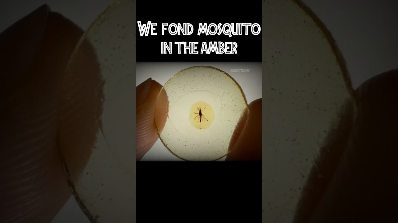 Uncover the Secrets of Dinosaurs 🦖 | Jurassic World & Fossil Facts