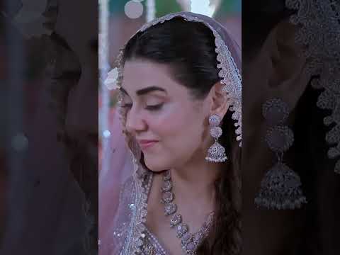 Visaal E Ishq  x Mere Baagh Ki Aye Nazuk Dalli - Fahad Sheikh - Hiba Aziz - Naureen Gulwani