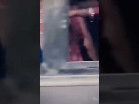 #habibivelocityedit #xml #edit #alightmotion