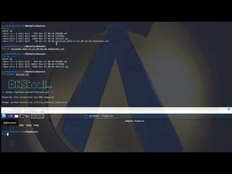 Demo Data Exfiltration using DNSSteal