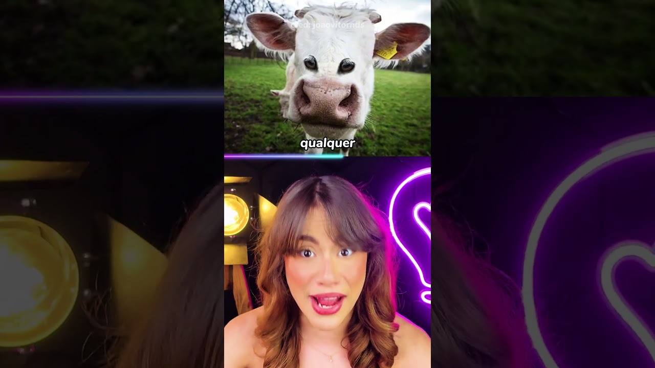 E se Animais Tivessem Olhos na Frente? 🦁