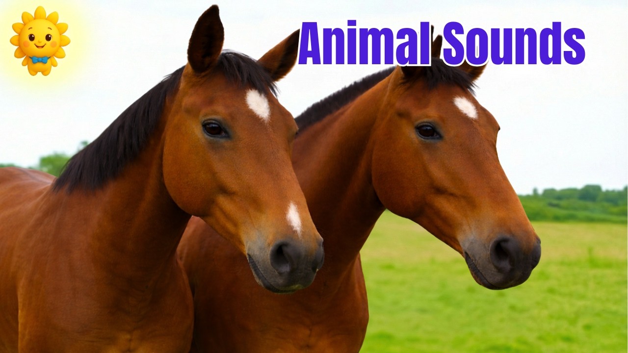 Animal Sounds & Names for Toddlers 🐾