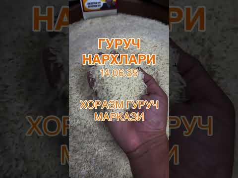 Гуруч нархлари 14.06.25 ☎️+998997970662 #xorazm #guruch #rek #trend #top #reels #tiktok