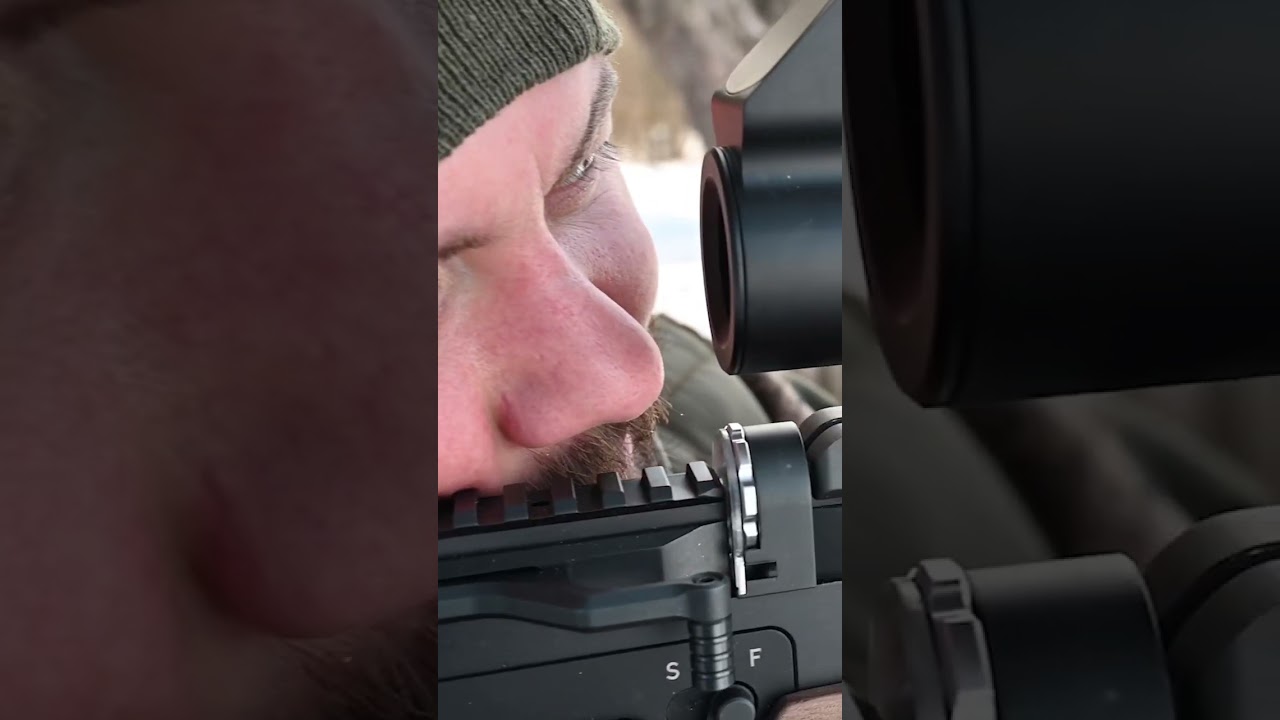 220 Пневматическая винтовка Storm — 220 м