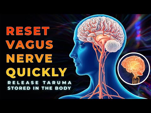 432Hz Reset Vagus Nerve: Super Recovery Healing Frequency Release Trauma Stored In The Body
