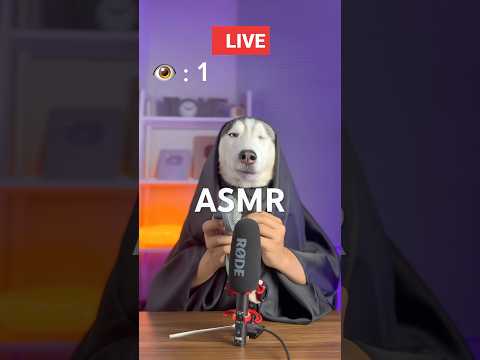 I think it is not good for you to stay 🥹 #short #shorts #livestream #asmr