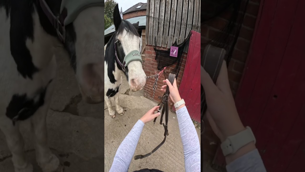 Spooky Pony Ride: Tack Up with Me 🎃