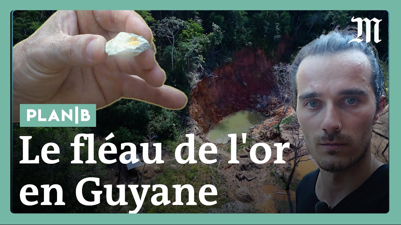 Guyane : enquête sur les chercheurs d’or illégaux 🏞️
