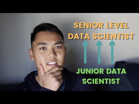 The Data Scientist Career Path (Junior to Senior Data Scientist)