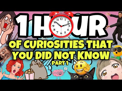 1 HOUR OF CURIOSITIES AND THINGS YOU DIDN'T KNOW 🧠⏰ #1