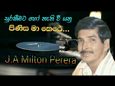 සුරැකීමට හෝ නැතිවී යනු..J. A. Milton Perera