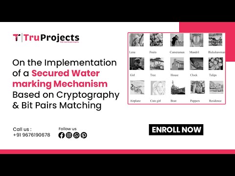 On the Implementation of a Secured Watermarking Mechanism Based on Cryptography and Bit Pairs Matchi