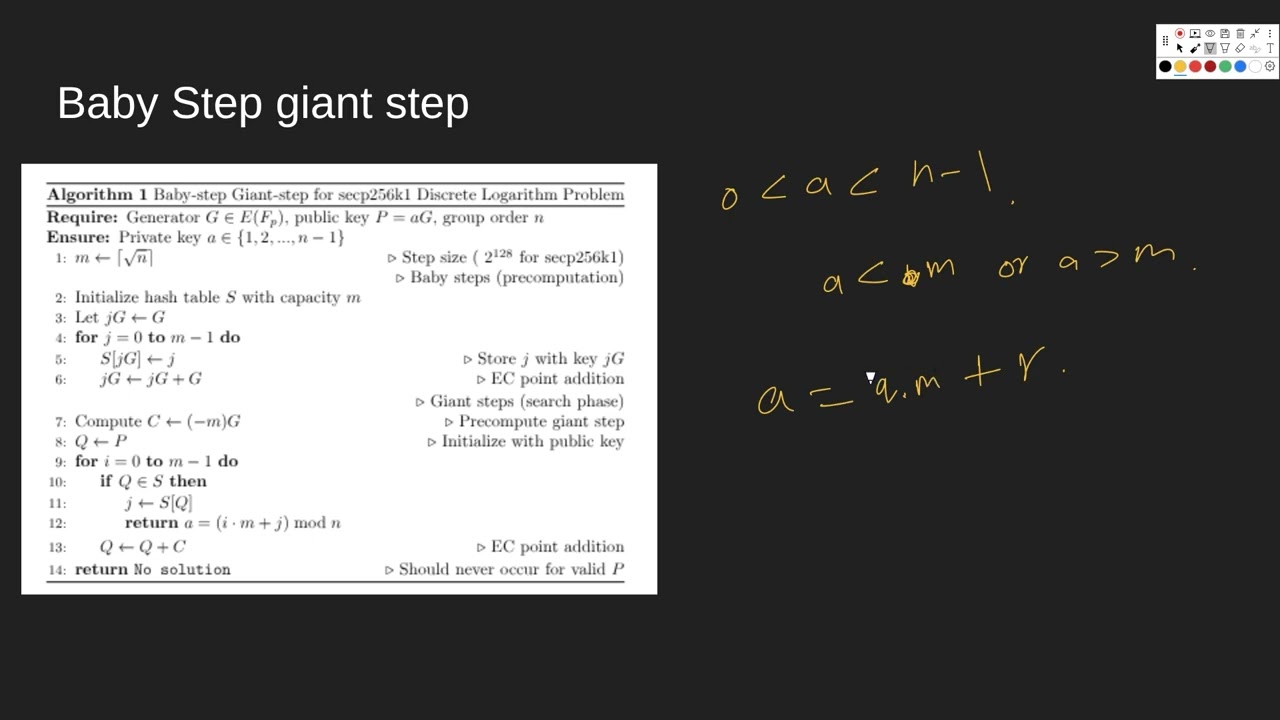 Security of Bitcoin: Analyzing the secp256k1 Discrete Logarithm Vulnerability
