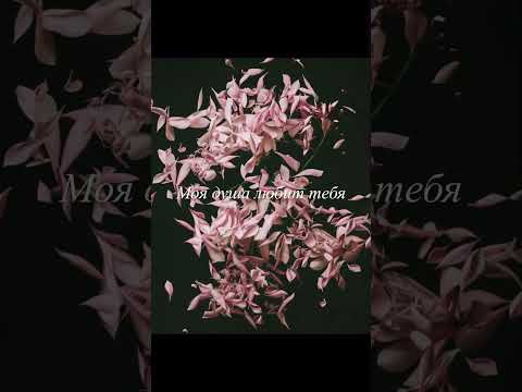 Держи меня за руку 🫶 #романтика#песня#держи#2023#shorts