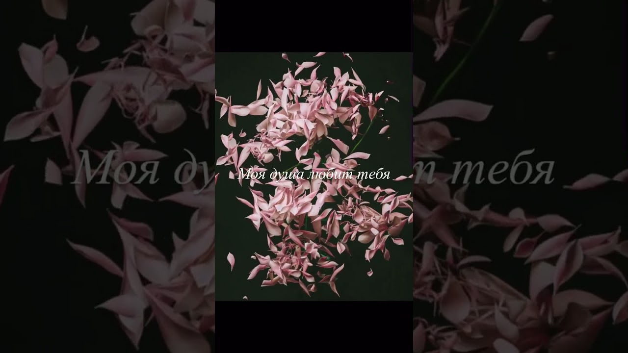 Держи меня за руку 🫶 — Романтическая песня 2023 | Shorts