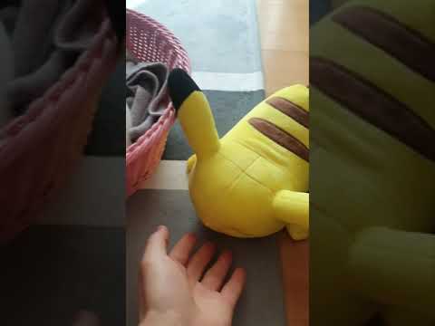 아기고양이 무는 버릇 고치는 방법 🐱