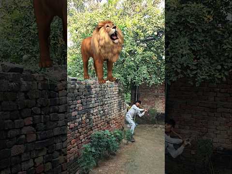शेर यहां कैसे आ गया हे भाग भाग 🤣🦁😱 #mastibaazpankaj #trending #funny #action #shorts #viralvideo