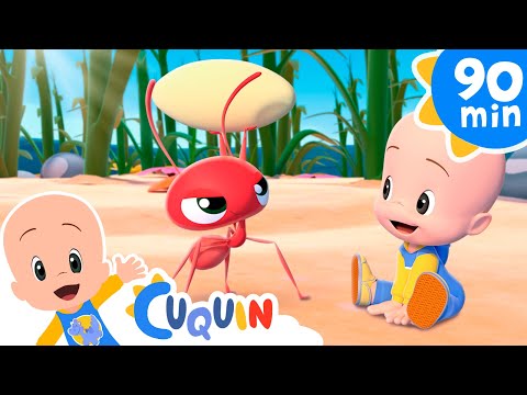 Los insectos chiquititos 🐜 y más canciones infantiles para bebés con Cleo y Cuquín