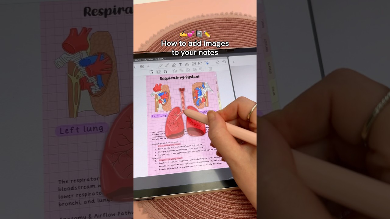 Easily Add Images to Notes on Your Samsung Galaxy Tab S9+ with Penly 📒