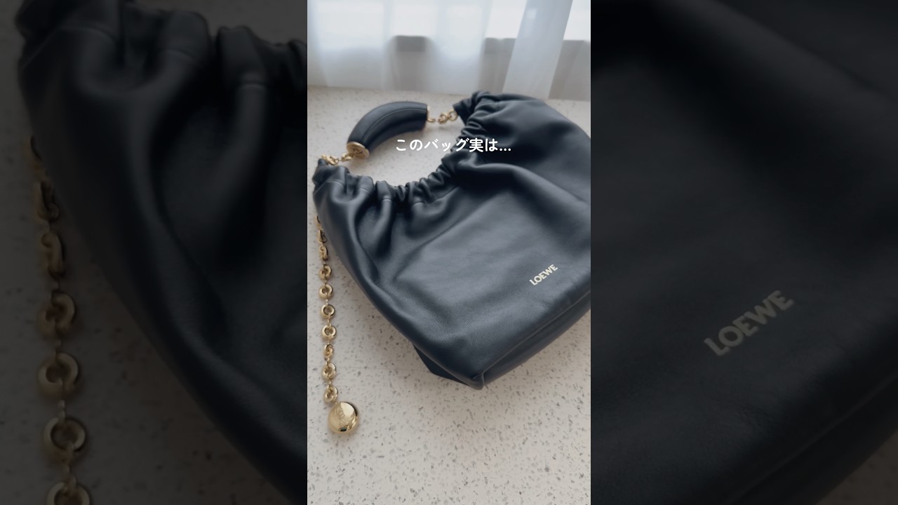 ロエベの新アイコンバッグの秘密🤫