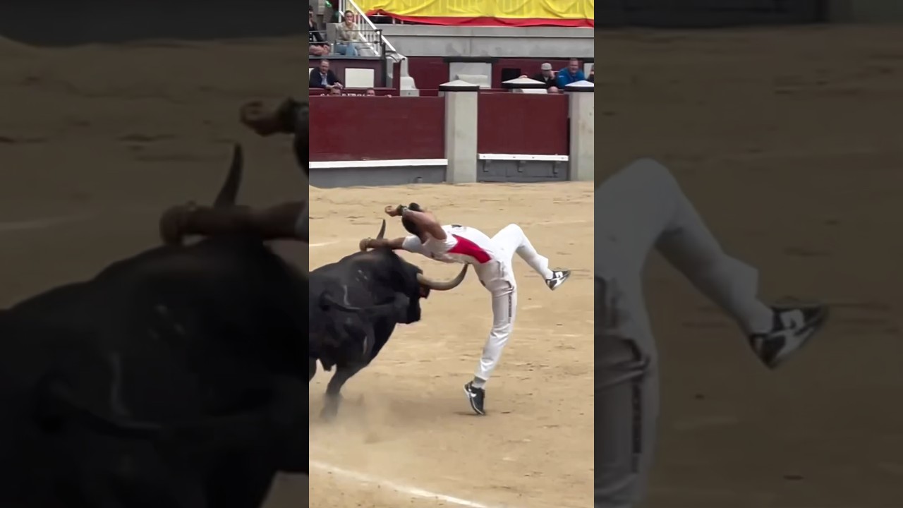 Jonathan Estébanez, Campeón de Madrid 🏆